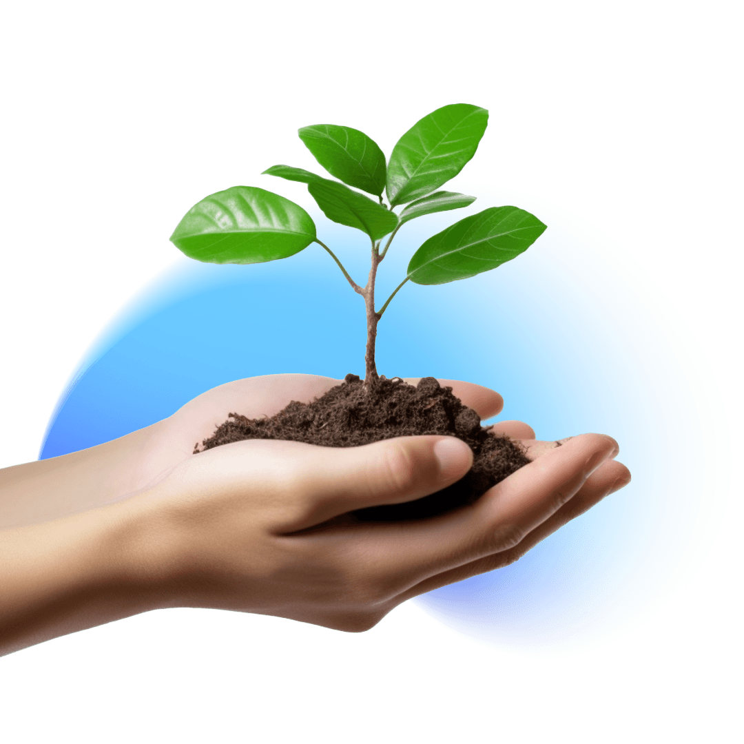 Landing 01 GWS-8 Landing 01 GWS-8