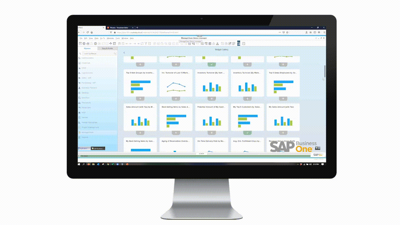 ManageClean on SAP Business One